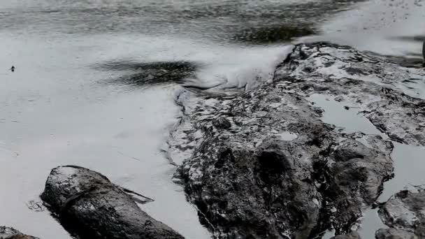 Poluição Praia Com Contaminação Por Petróleo Desastre Ambiental Comunidade Costeira — Vídeo de Stock