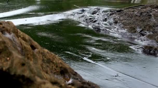 Strandverschmutzung Durch Ölverschmutzung Umweltkatastrophe Küstengemeinden Wasserverschmutzung — Stockvideo