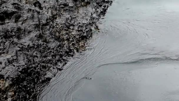 Утечка Нефти Побережье Прибрежная Катастрофа Загрязнение Нефти — стоковое видео