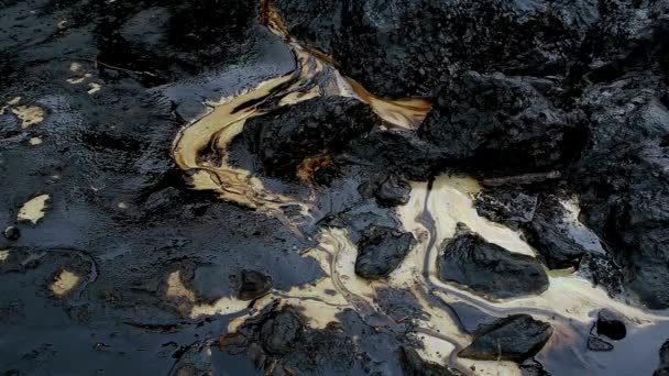 Strand Ölverschmutzung Und Ölverschmutzung Auf See Verschmutztes Wasser Meereslebewesen — Stockvideo