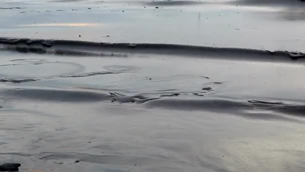 Únik Ropy Mořský Povrch Znečištění Vody Vyplavené Břeh Životní Prostředí — Stock video