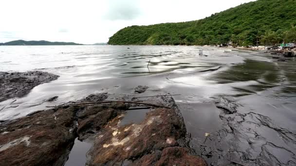 沿岸災害ビーチの汚染とクリーンアップアクションHdの環境保全 — ストック動画