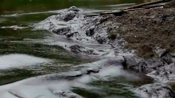 海滩生态系统上的石油破坏灾难 工业矿工海上钻探对野生动物的影响 — 图库视频影像