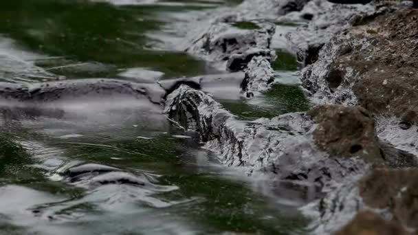 Derrame Petróleo Crudo Playa Contaminación Marina Mar Limpieza Del Medio — Vídeos de Stock