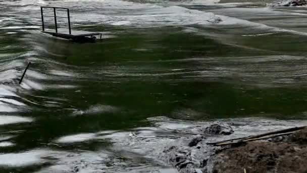 ビーチで原油流出災害 海洋汚染 海環境浄化水質汚濁 — ストック動画