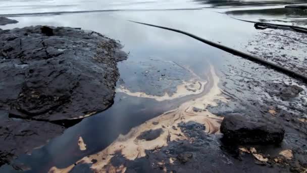 Contaminación Del Petróleo Orilla Del Mar Disparar Cerca Fondos Tinta — Vídeos de Stock