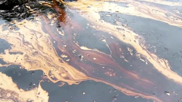 Petróleo Bruto Sobre Conservação Dos Oceanos Equipamento Petróleo Vaza Acidentes — Vídeo de Stock