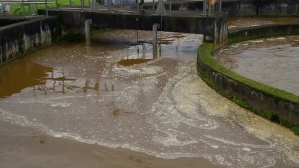 下水処理場への汚れた汚泥のプール 環境リサイクル エコファクトリー — ストック動画