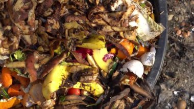 Yiyecek ve yeşil organikler. Biyolojik atık kutusu. Pis görünüşlü yiyecek atıkları. Mutfak artıkları. Meyve, sebze ve yumurta kabukları dahil. Atık toplamayı ayır