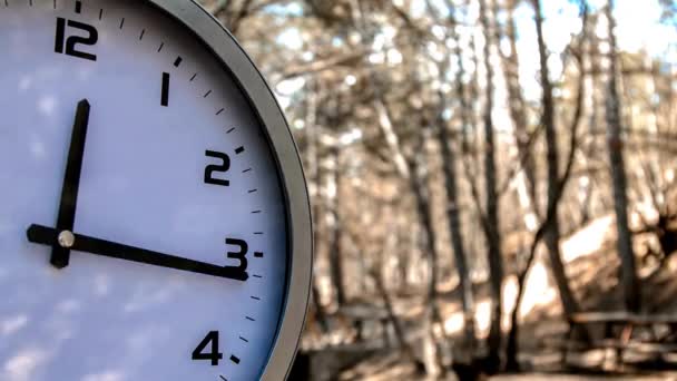 Timelapse Clock Time Front Busy City Park Woods Tree Background — Stock Video