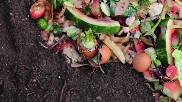 Lebensmittelabfälle Obst Und Gemüseabfälle Auf Einem Gartenkompost Mit Staubland — Stockvideo