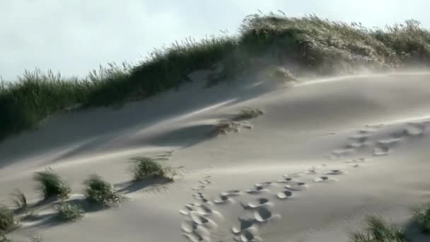 Ένα Φόντο Σκόνης Πάνω Από Αμμόλοφους Χόρτο Στην Παραλία Της — Αρχείο Βίντεο
