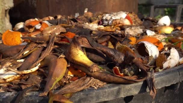 Yiyecek Yeşil Organikler Biyolojik Atık Kutusu Pis Görünüşlü Yiyecek Atıkları — Stok video