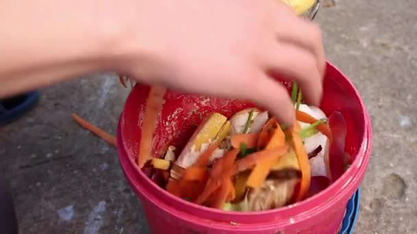 버려져 있거나 식품의 버리고 가정용 퇴비는 영양분 유기물 폐기물 재활용 — 비디오