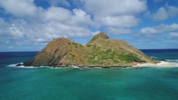 島やハワイ海岸の美しい崖のビーチと空中ビューの風景日差し岩海岸自然サーフィンツリー砂岩オアフ島マウイ — ストック動画