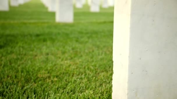 緑の草の戦争墓地の墓を持つ地上休憩所の土地を埋め — ストック動画