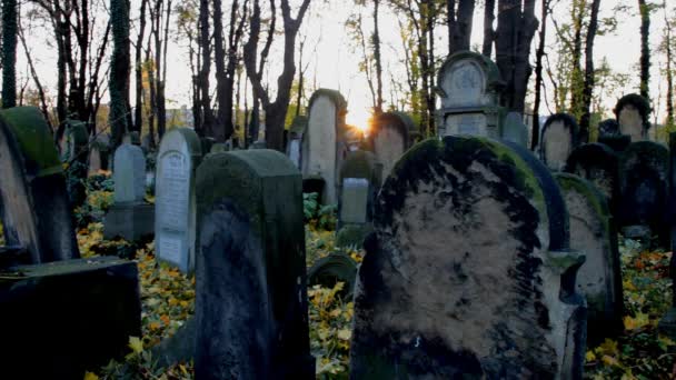 Cruz Velha Forma Cemitério Pedra Sepultura Pedra Cruza Sepultura Cemitério — Vídeo de Stock