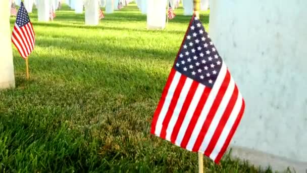 Soldater Grav Med Usa Flagga America Christian Kyrkogård Pan Katolsk — Stockvideo