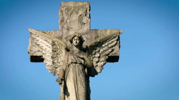 Pierre Tombale Catholique Chrétienne Statue Cimetière Des Anges Croix Celtique — Video