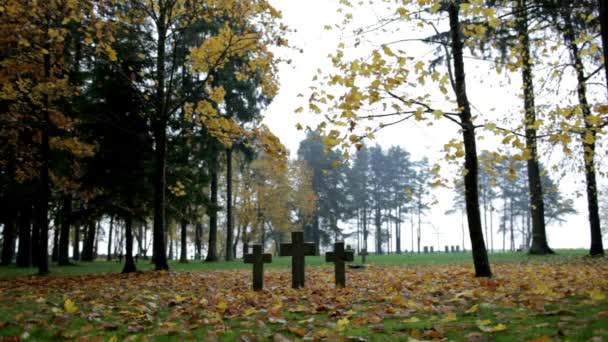 Christian Catholic Grave Tombstone Angel Cemetery Statue Celtic Cross Graveyard — Stock Video
