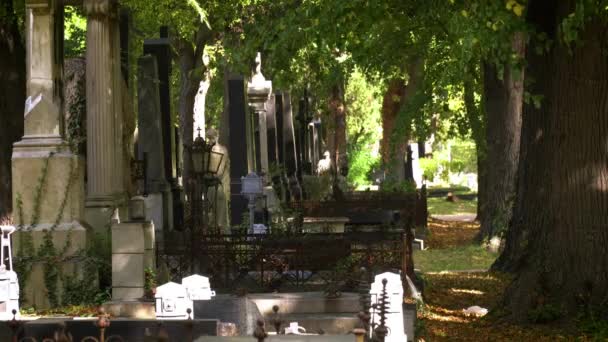 Старі Камені Надгробків Поховали Кладовищі Стародавні Християнські Кам Яні Хрести — стокове відео