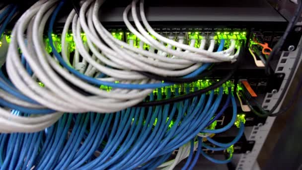 Hub Kablo Ağı Modem Bilgi Veriye Bağlı Ethernet Kabloları Konsept — Stok video