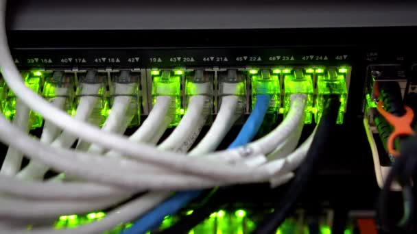 Hub Cable Network Close Cavi Ethernet Connessi Alle Informazioni Dati — Video Stock