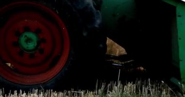 Buğday hasadı makine hasat mevsimi tarım tarlaları kullanılarak yapılıyor