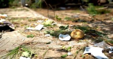 Filipinler fırtınası şehre şiddetli rüzgarlar ve manila seli getirdi.