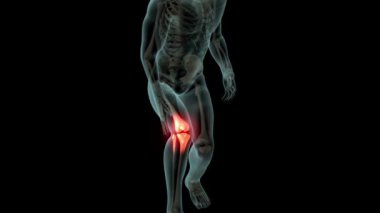 Siyah arka plan animasyonuna karşı omurga ağrısını gösteren saydam insan vücudu yakın plan görüntüsü 4K