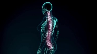 Acı dolu VFX Back Pain Arttırılmış Gerçeklik Animasyonunun animasyon geçmişi. Anatomi hastasını kapat