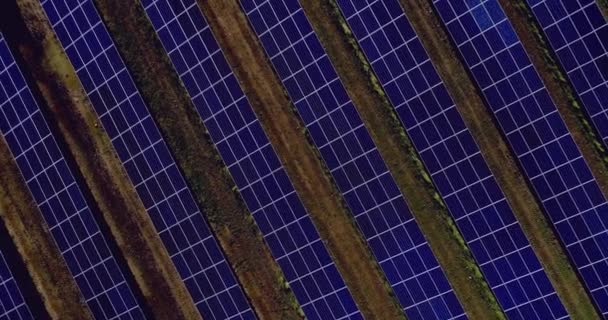 Energia Odnawialna Elektrownia Słoneczna Panele Słoneczne Widok Lotu Ptaka Farma — Wideo stockowe
