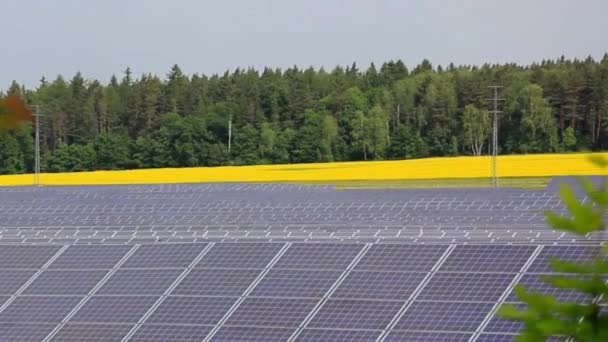 4K太陽光パネルファーム 太陽電池 の空中ビュー 再生可能なグリーン代替エネルギーの概念太陽光パネルフィールド上のドローン飛行 — ストック動画