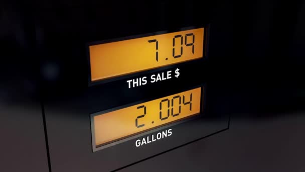 Gas Pump Meter Digital Counts Display Lcd — Wideo stockowe