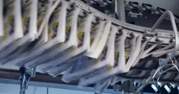 Conveyor Printing Newspapers Machine News Press Modern Paper Print Factory — Stock Video