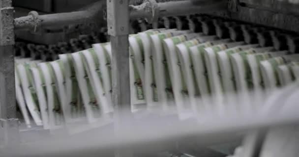 Newspaper Printing Plant Newspaper Printed Printing House Machine Print Plant — Stock Video