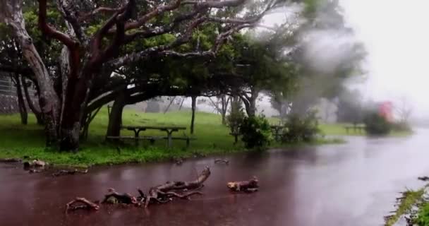 Super Typhoon Goni Treft Filippijnen Werelds Krachtigste Storm — Stockvideo