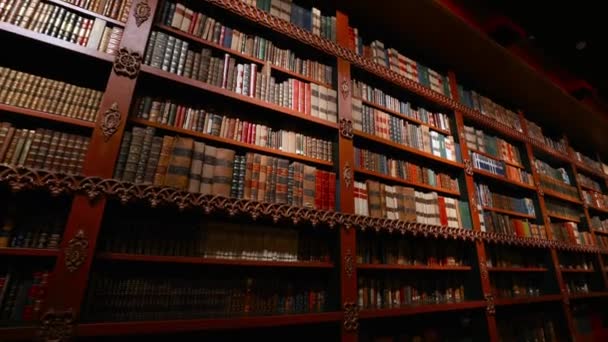 Βιβλιοθήκη Πανεπιστήμιο Λογοτεχνία Ράφια Βιβλία Υπόβαθρο Εκπαίδευση Βιβλιοπωλείο Γνώση Ράφι — Αρχείο Βίντεο