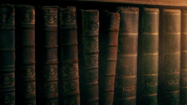 Old Books Luxurious Cover Skin Binding History Library Row Bookshelf — Wideo stockowe