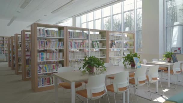 Βιβλιοθήκη Στο Εσωτερικό Της Δημόσιας Βιβλιοθήκης Ράφια Πολλά Βιβλία Και — Αρχείο Βίντεο