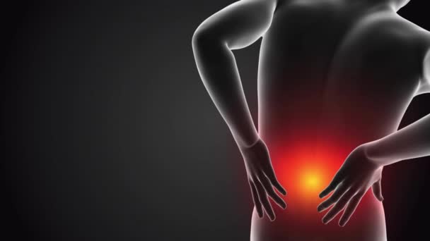 Hombre Que Sufre Dolor Espalda Cuerpo Humano Columna Vertebral Vertebra — Vídeos de Stock