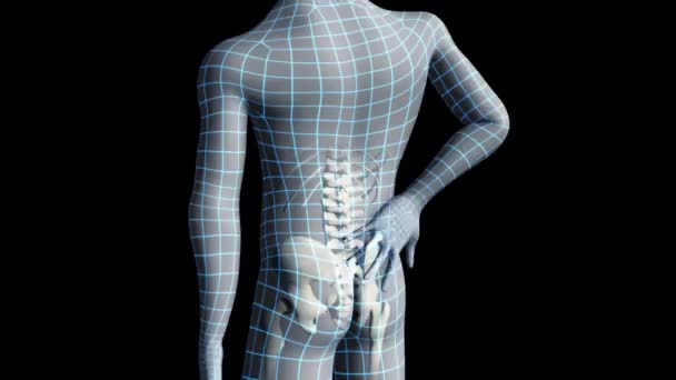 后背疼痛脊柱外伤或关节炎增厚实感背痛3D制作医疗动画 — 图库视频影像