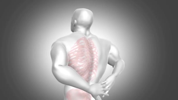 Dolor Espalda Trauma Columna Vertebral Artritis Realidad Aumentada Dolor Espalda — Vídeo de stock