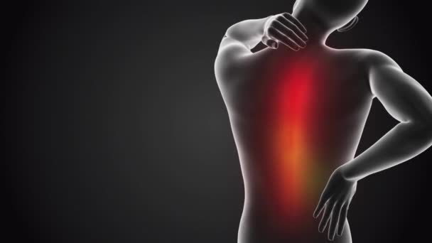 Nahaufnahme Transparenter Menschlicher Körper Mit Rückenschmerzen Vor Schwarzem Hintergrund Animation — Stockvideo