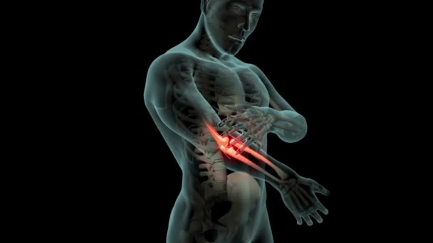 Rückenschmerzen Wirbelsäule Nahaufnahme Animation Anatomy Body Scan Rendering Nahtlose Schleife — Stockvideo