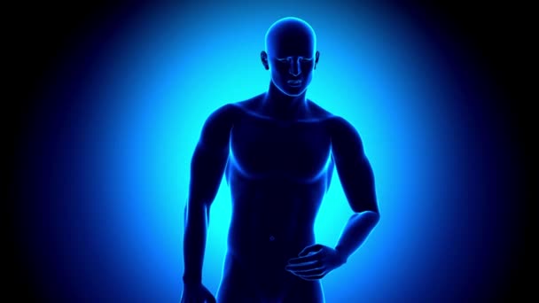 3D动画人体人从胃酸 健康及医学背景下的疾病中痛苦 — 图库视频影像