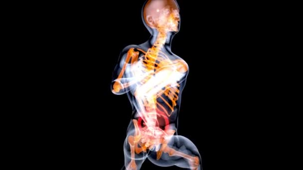 Powrót Ból Kręgosłupa Kręgosłupa Animacja Zbliżenie Ciało Anatomia Scan Render — Wideo stockowe