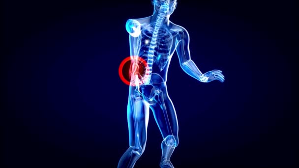背痛脊椎特写动画解剖体3D扫描呈现无缝循环背景 — 图库视频影像