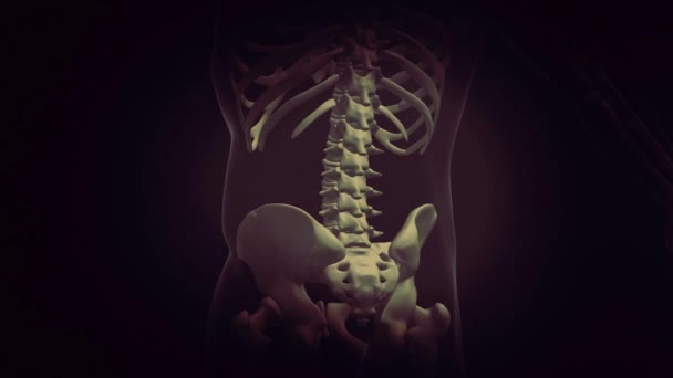 Medyczna Animacja Mężczyzny Ostrym Bólem Pleców Ludzka Anatomia Rentgenowska Urazy — Wideo stockowe
