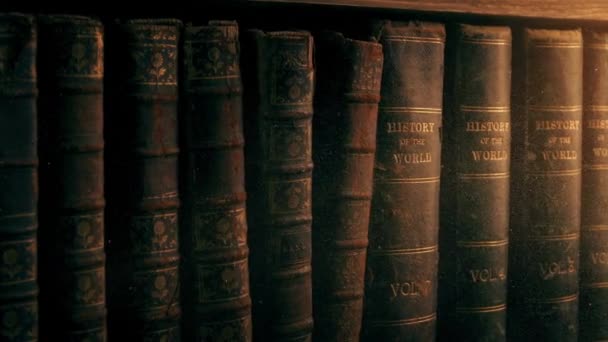 Παλιά Βιβλία Ένα Πολυτελές Κάλυμμα Δερμάτινη Βιβλιοδεσία Βιβλιοθήκη Ιστορία Σειρά — Αρχείο Βίντεο